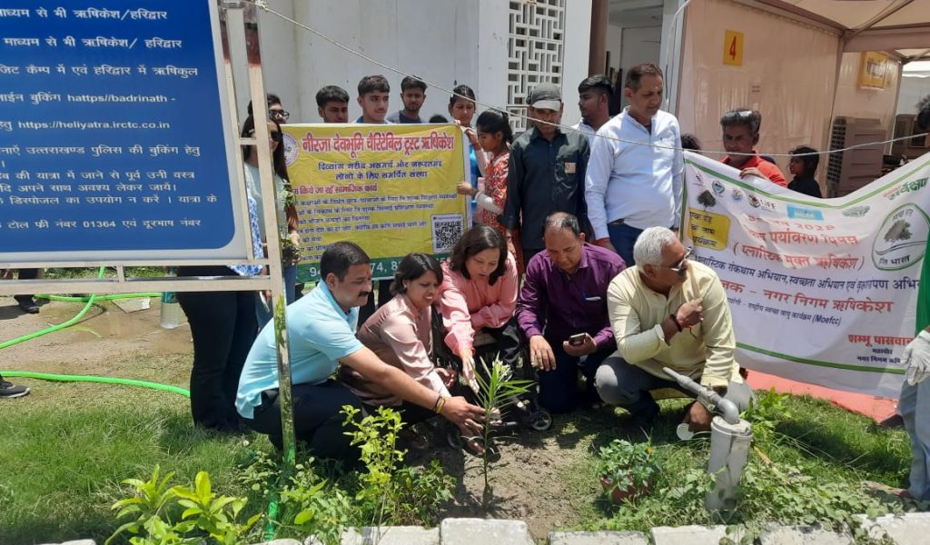 environment day- plantation of trees environment day- plantation of trees
